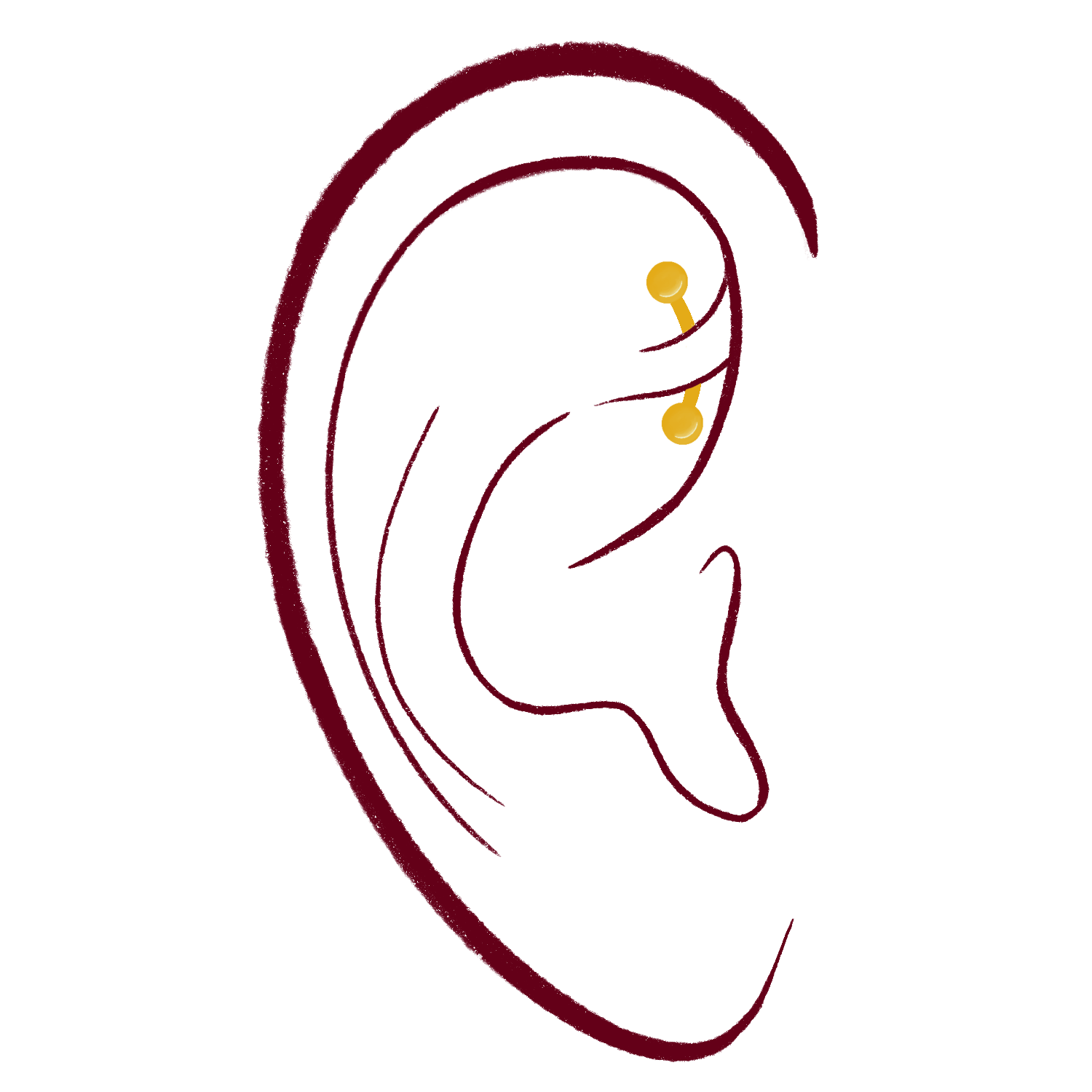Rook